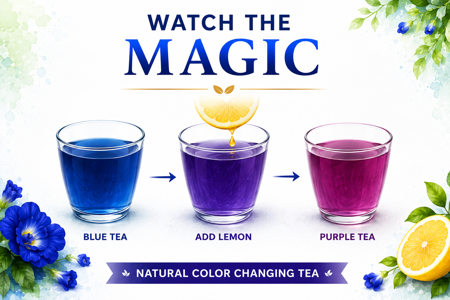 Butterfly Pea Flower Tea Bags - natural loose leaf flowers - Nirmal Agro natural herbal tea